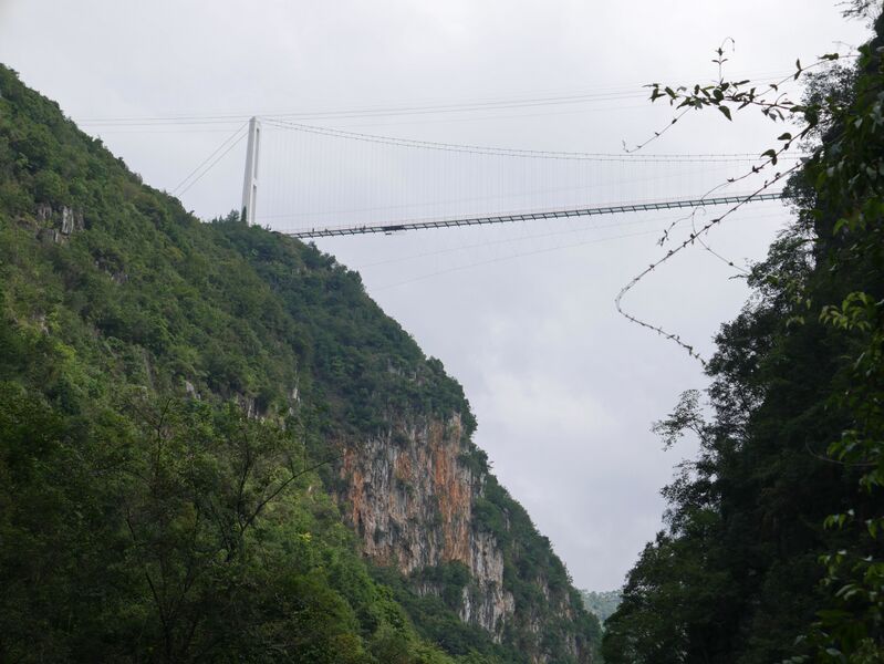 File:NizhuheCanyonGlassFootbridgeAbove.JPG