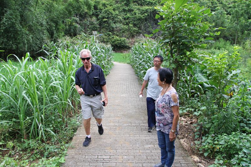 File:100DaxiaojingAreaPark copy.JPG