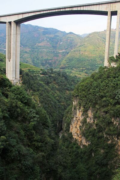 File:WanglongbaoBeam&Trees.jpg