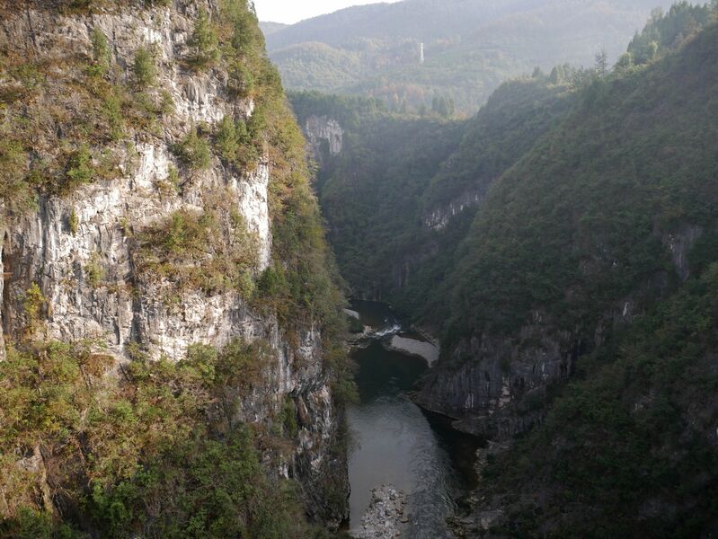 File:Wuchuan Nanmu FootbridgeDownstream.JPG