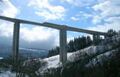 Thumbnail for version as of 09:13, 5 April 2020