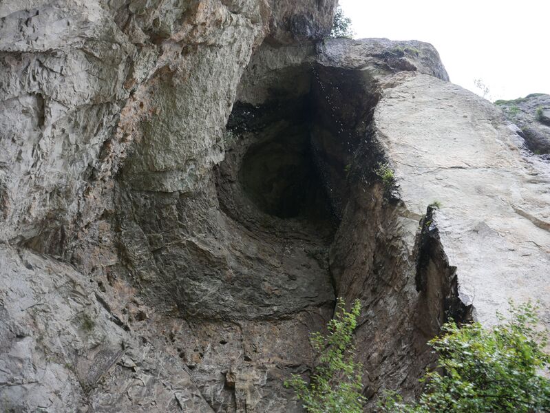File:FangdongYandangGoldenBell.JPG