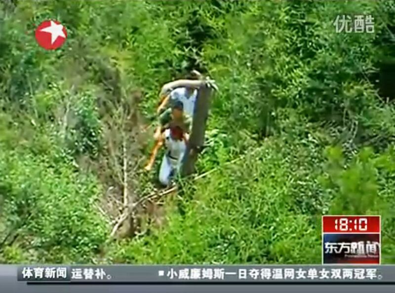 File:AisikaierInTrees.jpg