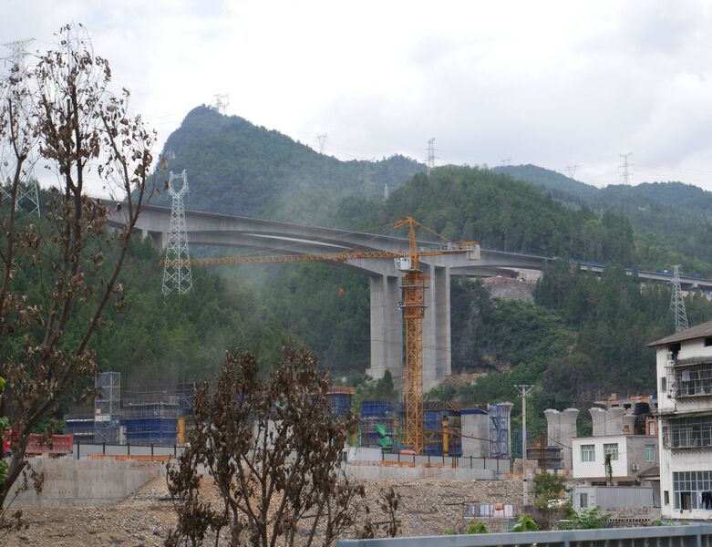 File:Mianhuaba.JPG