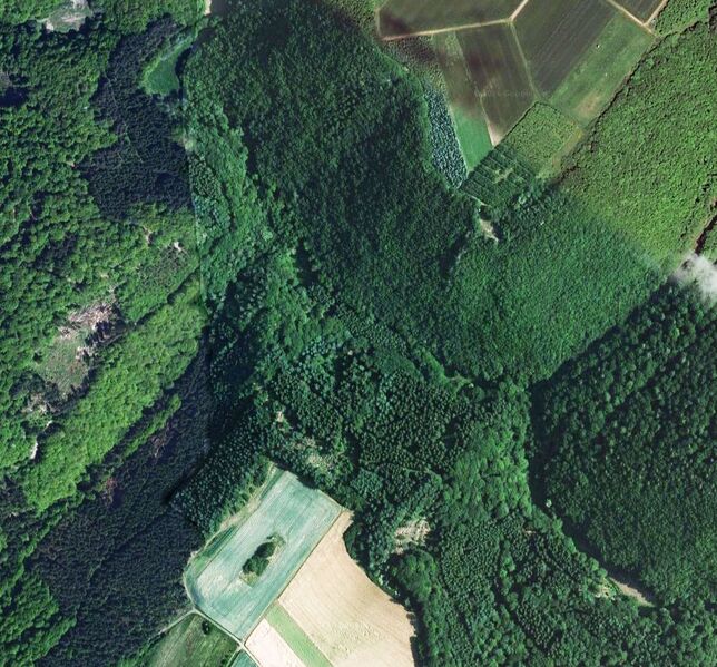 File:GeierlaySatellite.jpg