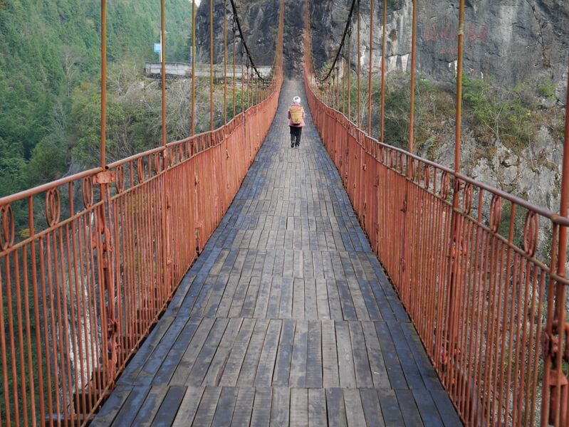 File:Wuchuan Nanmu FootbridgeOldWalk.JPG