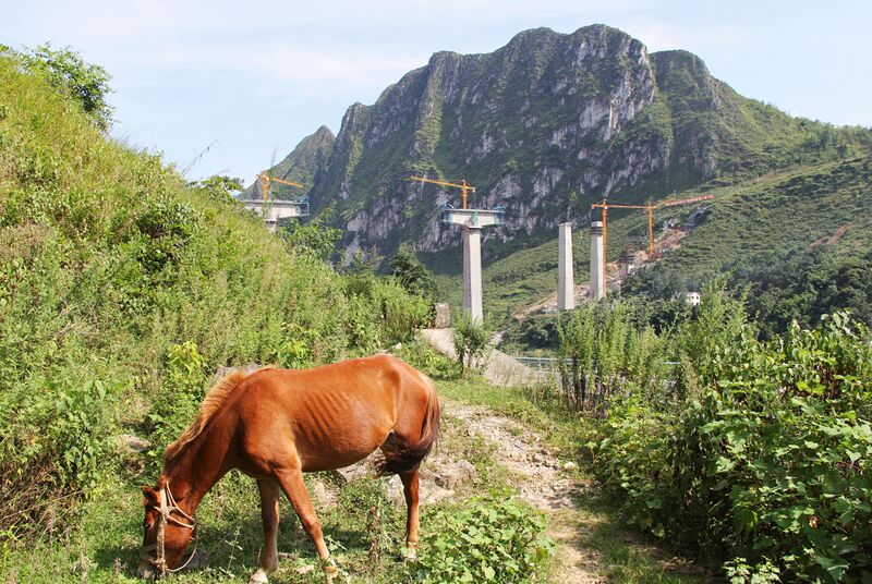 File:BalingheRailway&Horse.jpg
