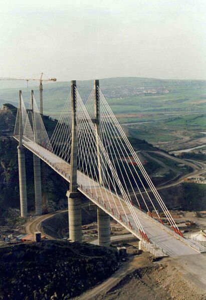 File:OuedDibConstAlgeria copy.jpg