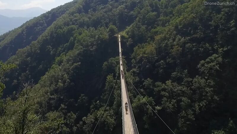 File:CarascFootbridgeByDroneZurich.ch5.jpg