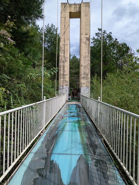 File:Fengdu Lianhuashan Glass FootbridgePixel3.jpg