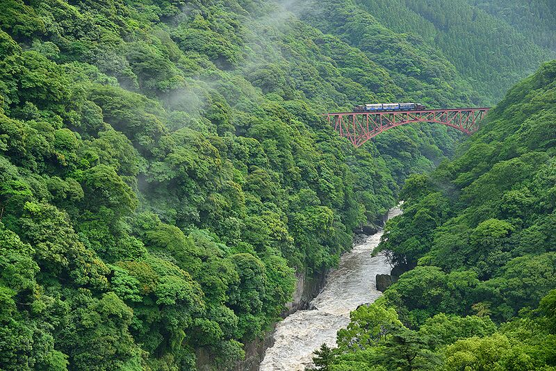 File:DaiichiShirakawa9.jpg