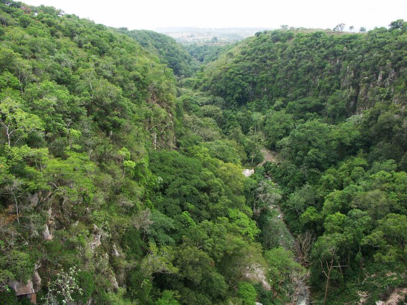 File:ElCimarronDownstream.jpg