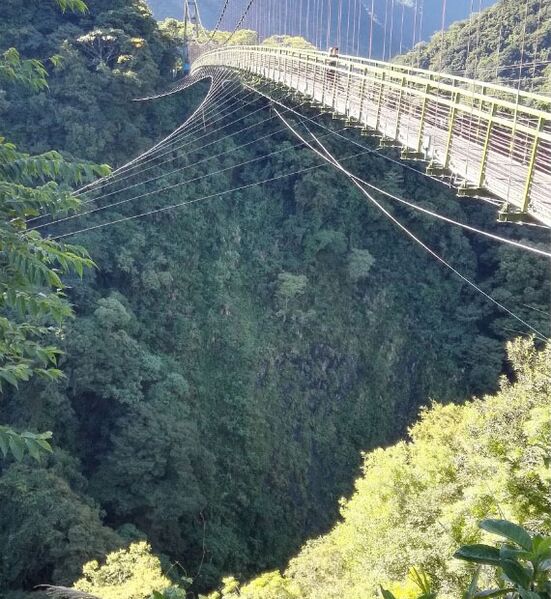 File:DongpuDropGorge.jpg