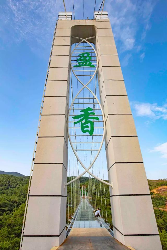File:Foshan Yingxiang Ecological Tower.jpg