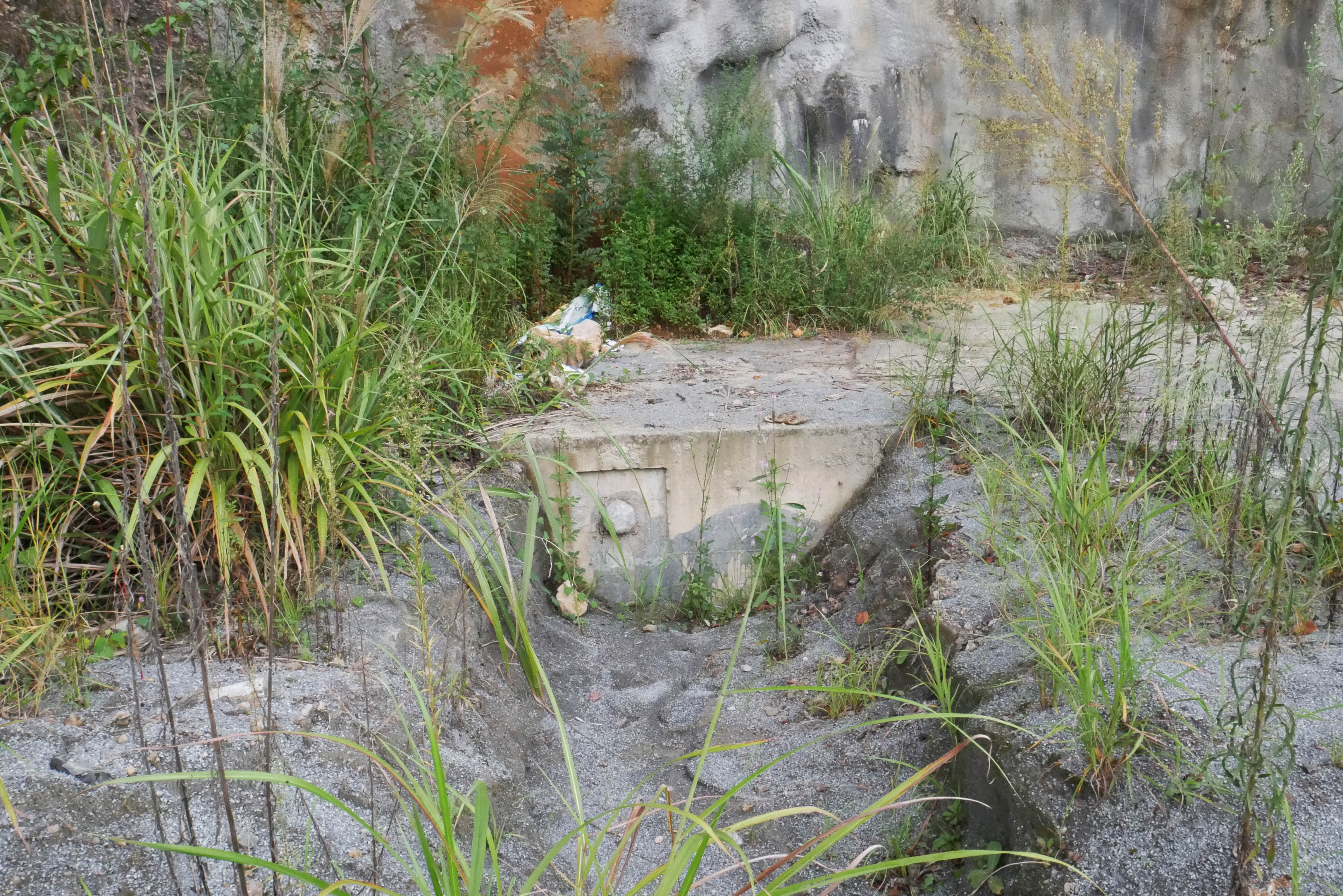 ShuangbaoFootFoundation2.JPG