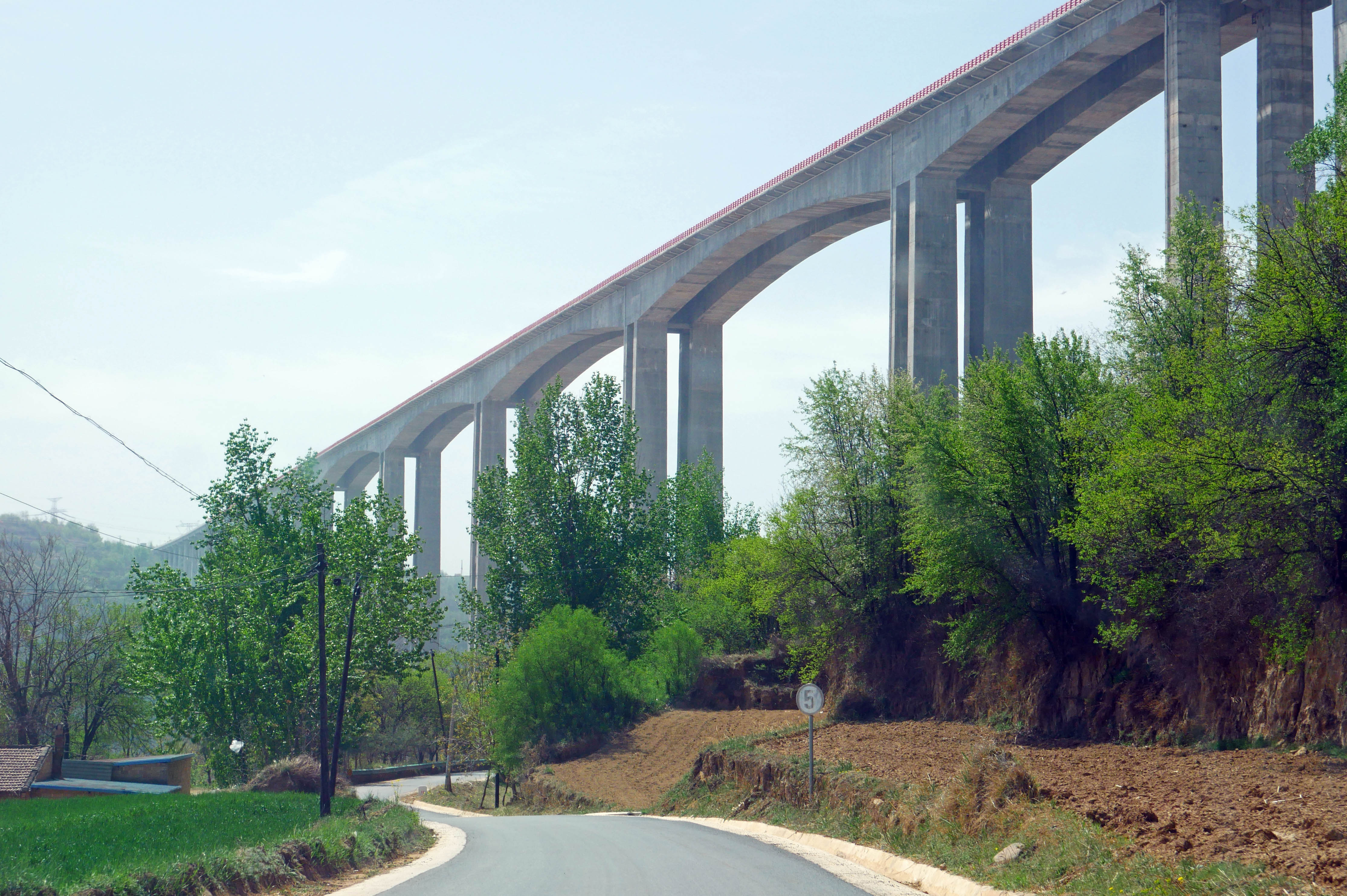Malianhe Bridge Trees.JPG