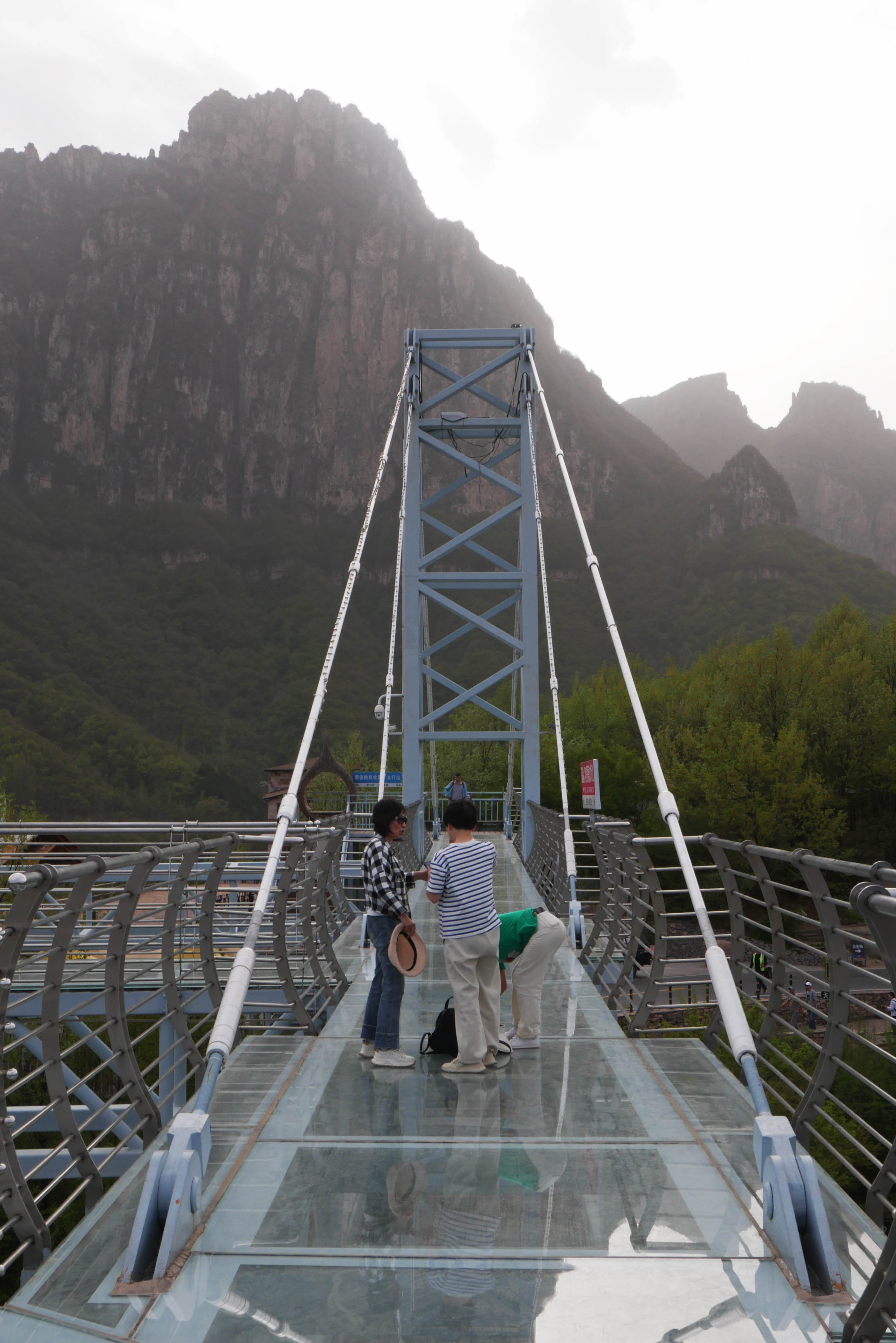 Taihang GlassPlatformDualCables.JPG
