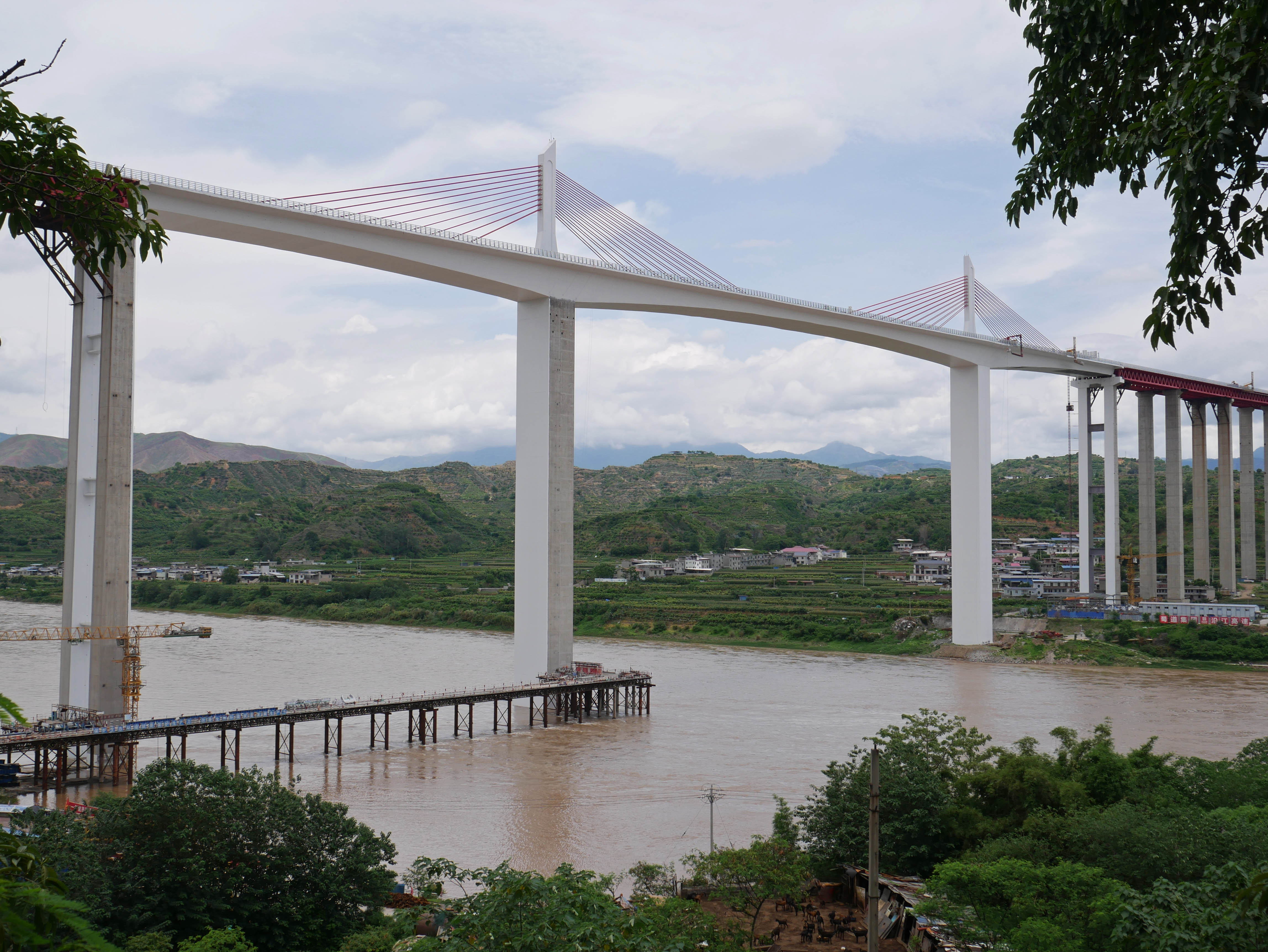 Jinshajiang Bridge PanzhihuaTrees.JPG