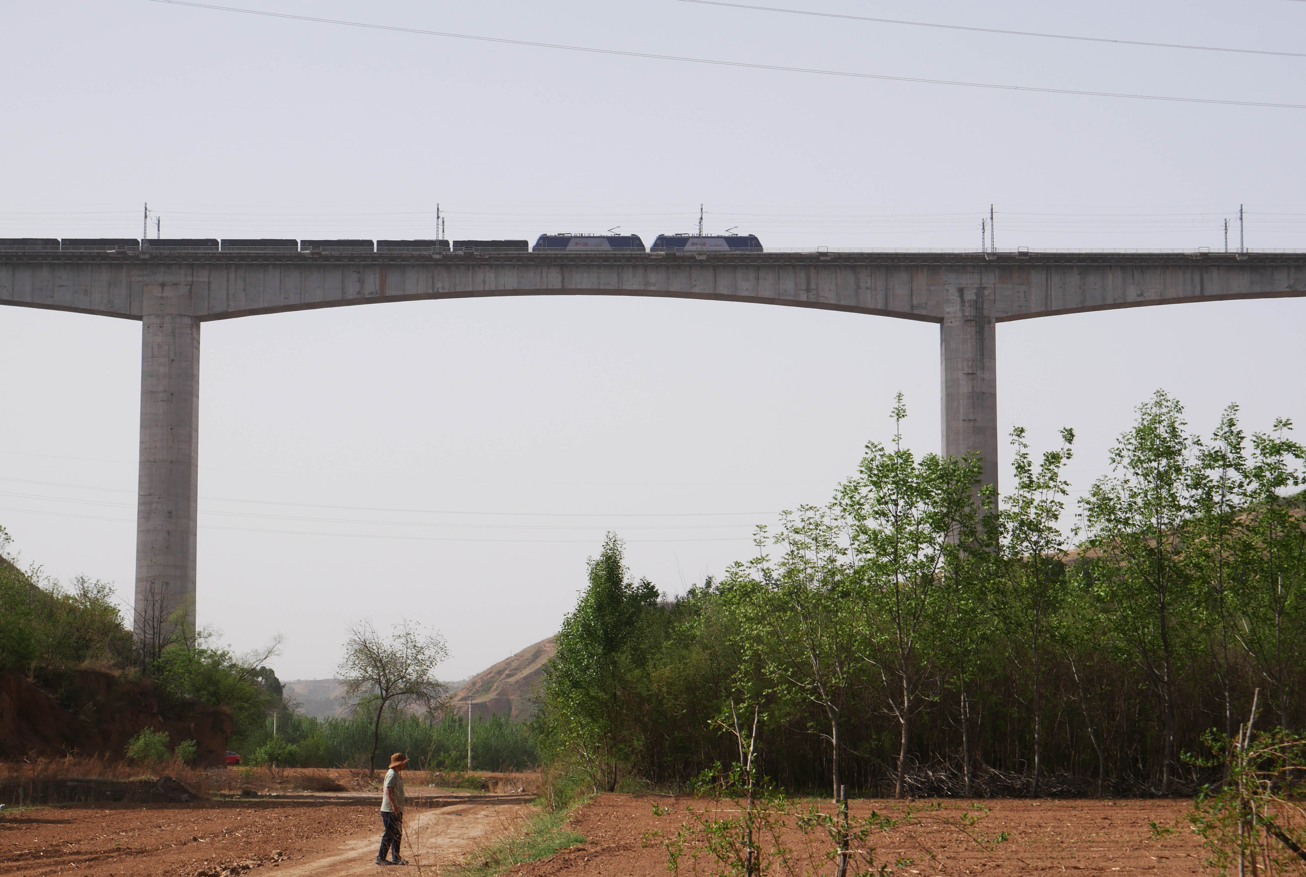 JinshuigouRailway Trees.JPG